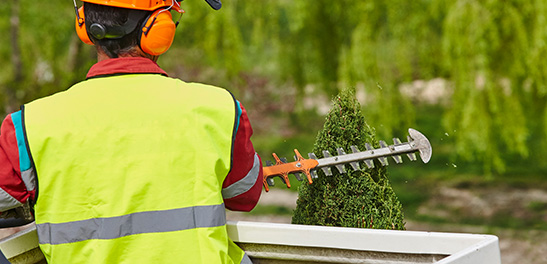 Kerti munkák Debrecenben