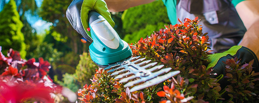 Kerti munkák Debrecenben